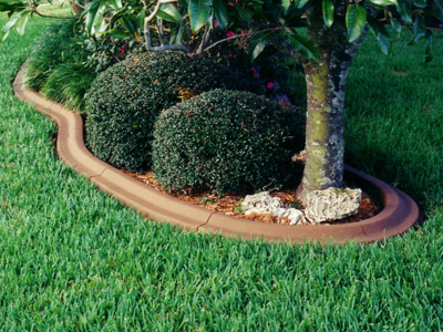 Trees and shrubs with edging
